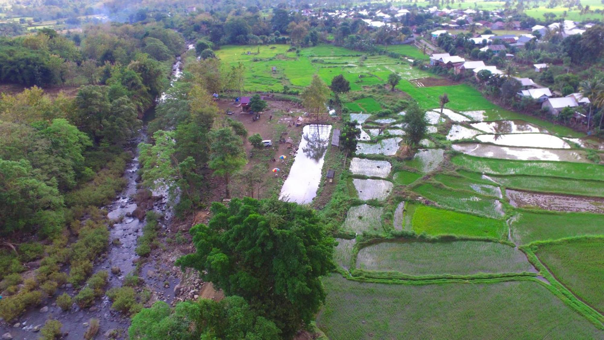 Tiu Batu Homestay Alas Buitenkant foto